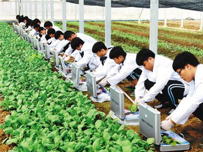 環(huán)境保護(hù)與檢測(cè)