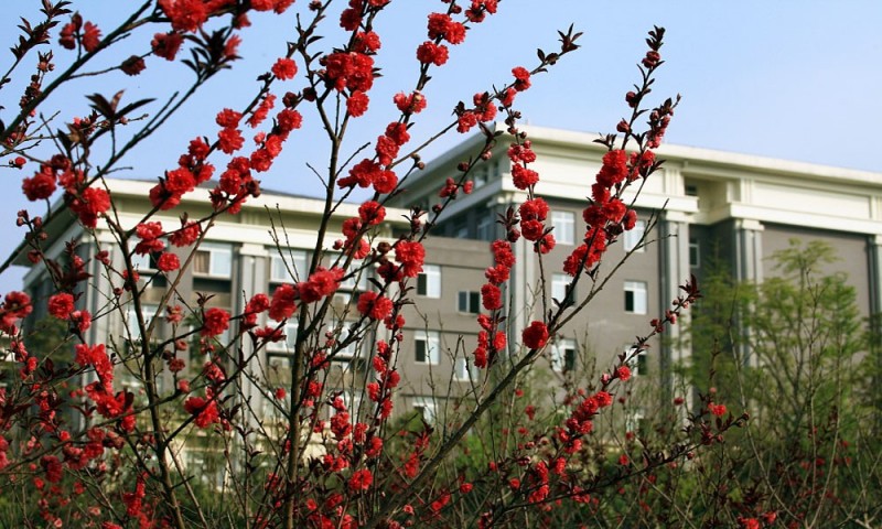 重慶能源職業(yè)學(xué)院 