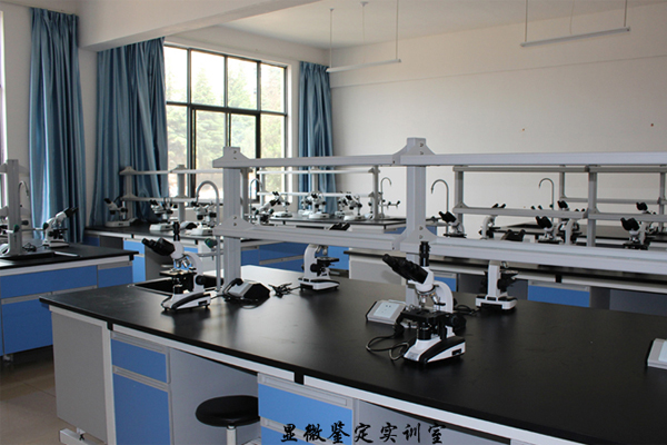 云南新興職業(yè)學院