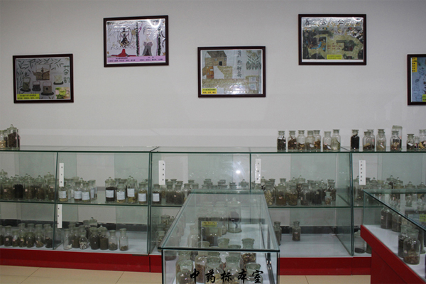 云南新興職業(yè)學院