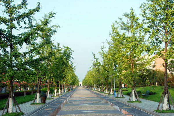 成都信息工程學院 (12)