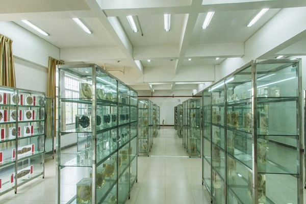 昆明市衛(wèi)生學校