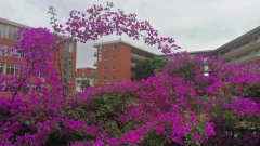 成都經(jīng)濟(jì)技術(shù)開發(fā)區(qū)實(shí)驗(yàn)中學(xué)校