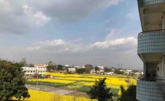 成都市新都區(qū)泰興中學校