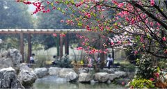 成都外國語學(xué)校