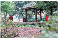 成都市第三十六中學校