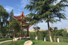 成都市三原外國語學(xué)校