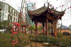 達(dá)州外國語學(xué)校