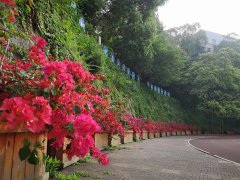 簡陽市實(shí)驗(yàn)中學(xué)