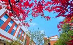 四川省綿竹中學(xué)