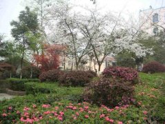 眉山市東坡區(qū)多悅高級中學(xué)校