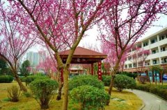 邛崍市第一中學(xué)校