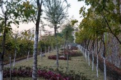 攀枝花市第七高級(jí)中學(xué)校