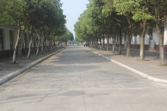 邛崍市強(qiáng)項(xiàng)實(shí)驗(yàn)學(xué)校