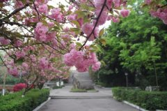 四川省中江中學(xué)校