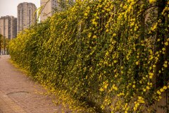 四川省仁壽第一中學(xué)校北校區(qū)