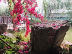 四川省崇州市蜀城中學(xué)