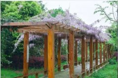 四川省成都市郫都區(qū)第三中學