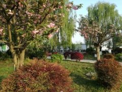 四川省成都市郫都區(qū)第三中學