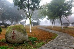 四川省東汽八一中學