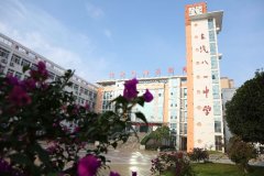 四川省東汽八一中學