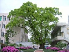 四川省峨眉第二中學(xué)校