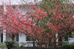 四川省通江中學(xué)