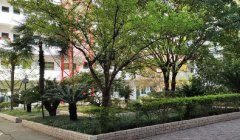 四川省通江中學(xué)