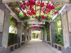 四川省眉山第一中學