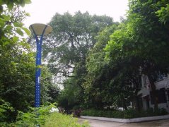 四川省南充龍門中學(xué)