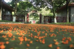 四川省彭州中學