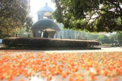 四川省彭州中學