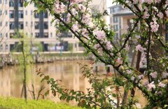 四川省蒲江縣蒲江中學