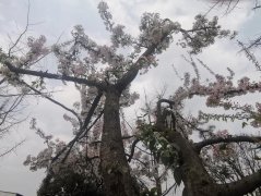 四川省蒲江縣壽安中學(xué)