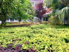 四川省彭州市濛陽中學