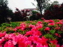 四川省彭州市濛陽中學