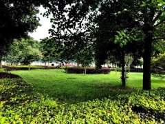 四川省彭州市濛陽中學