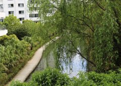 四川省射洪中學(xué)校