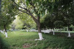 四川省射洪中學(xué)校