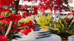 四川省鹽亭中學