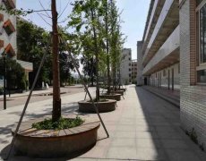 四川省金堂實(shí)驗(yàn)中學(xué)