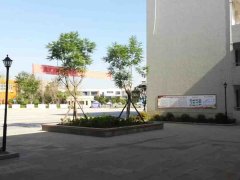 四川省金堂實(shí)驗(yàn)中學(xué)