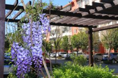 西昌市禮州中學(xué)