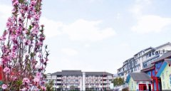 雅安北附實驗學校