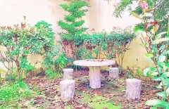 四川省彭州市第一中學(xué)