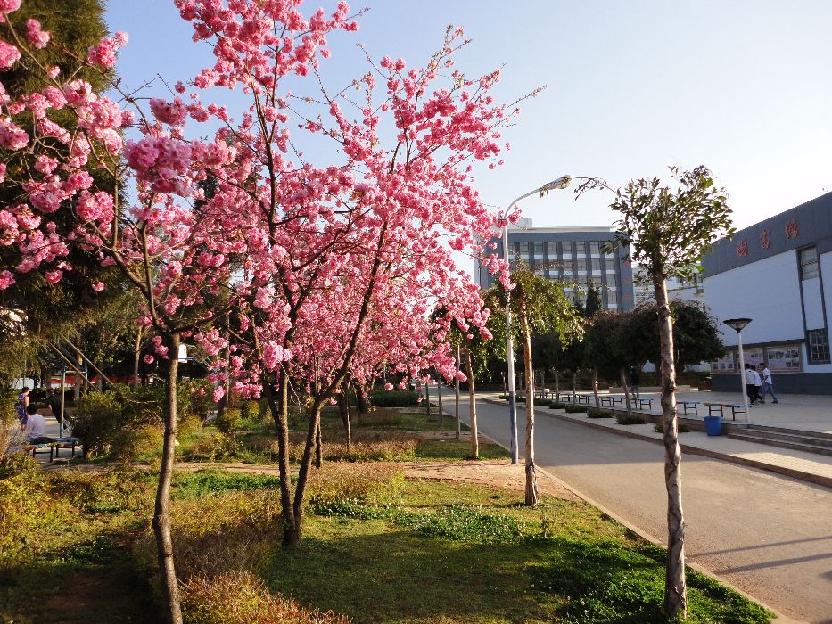 云南經(jīng)貿(mào)外事職業(yè)學(xué)院