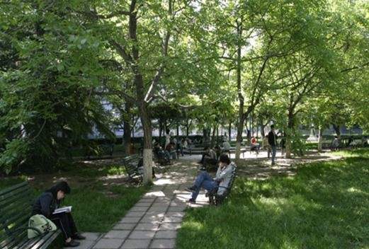 北京師范大學成都實驗中學