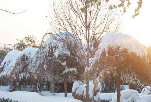 北京京北職業(yè)技術(shù)學院