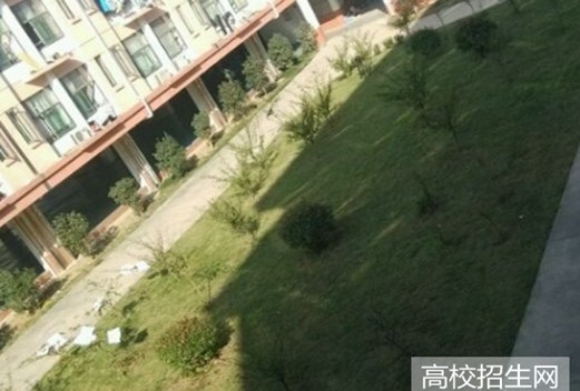 煙臺工程職業(yè)技術學院