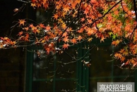 山東醫(yī)學(xué)高等專科學(xué)校